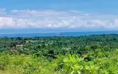 Ulbohan Aloguinsan Cebu