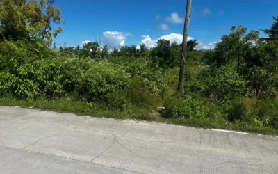 Moalboal Saavedra Cebu