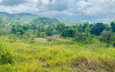 NAPO – TOLINDA – CARCAR CITY – CEBU