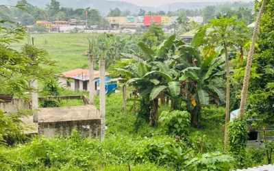 Lamakan Property Carcar Cebu